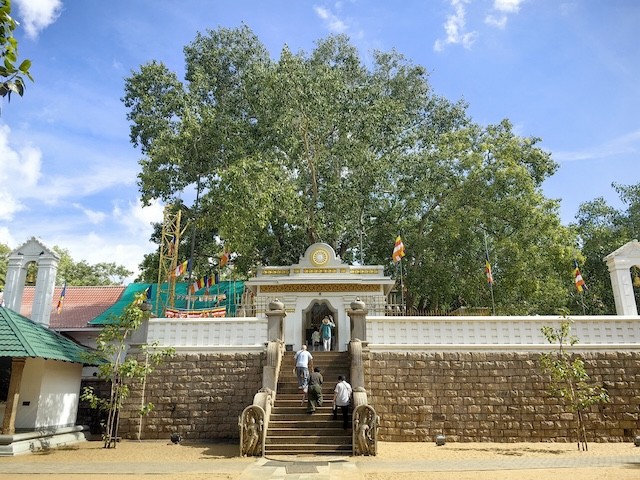 摩訶寺 Mahavihara
